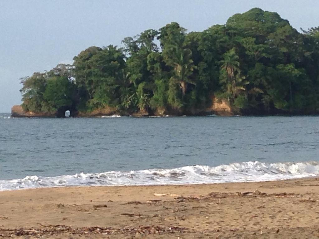 Hotel One Love Puerto Viejo Puerto Viejo de Talamanca Buitenkant foto