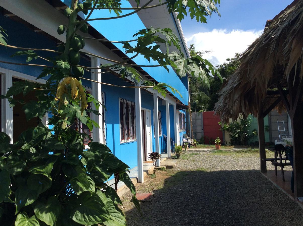Hotel One Love Puerto Viejo Puerto Viejo de Talamanca Buitenkant foto